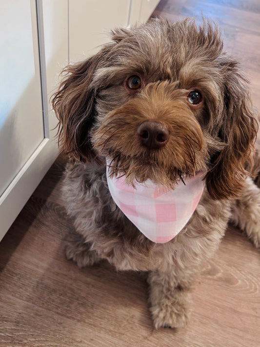 🌸 Sweetheart Scrunchie Dog Bandana - Pink Gingham & Ribbed Knit Reversible