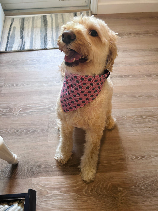 Red, White & Blue Dog Bandana
