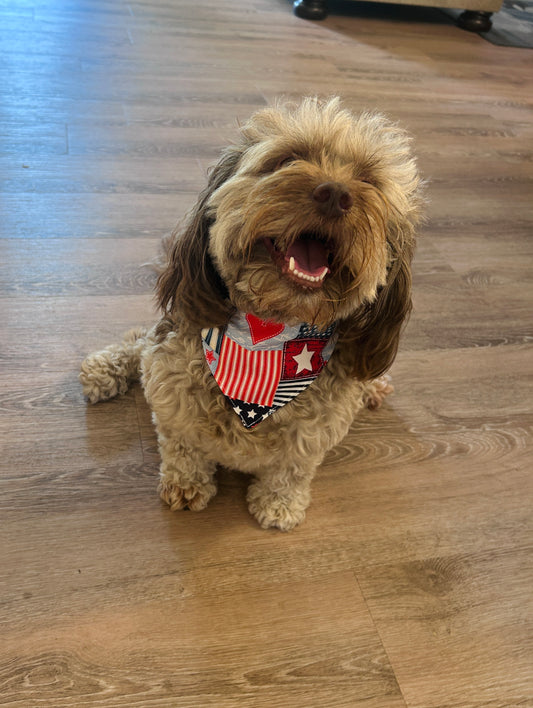 Americana Dog Bandana