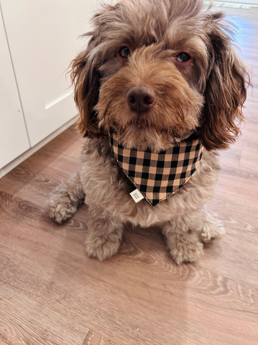 🐾 Cozy & Reversible Scrunchie Dog Bandana - Black & Tan Buffalo Plaid