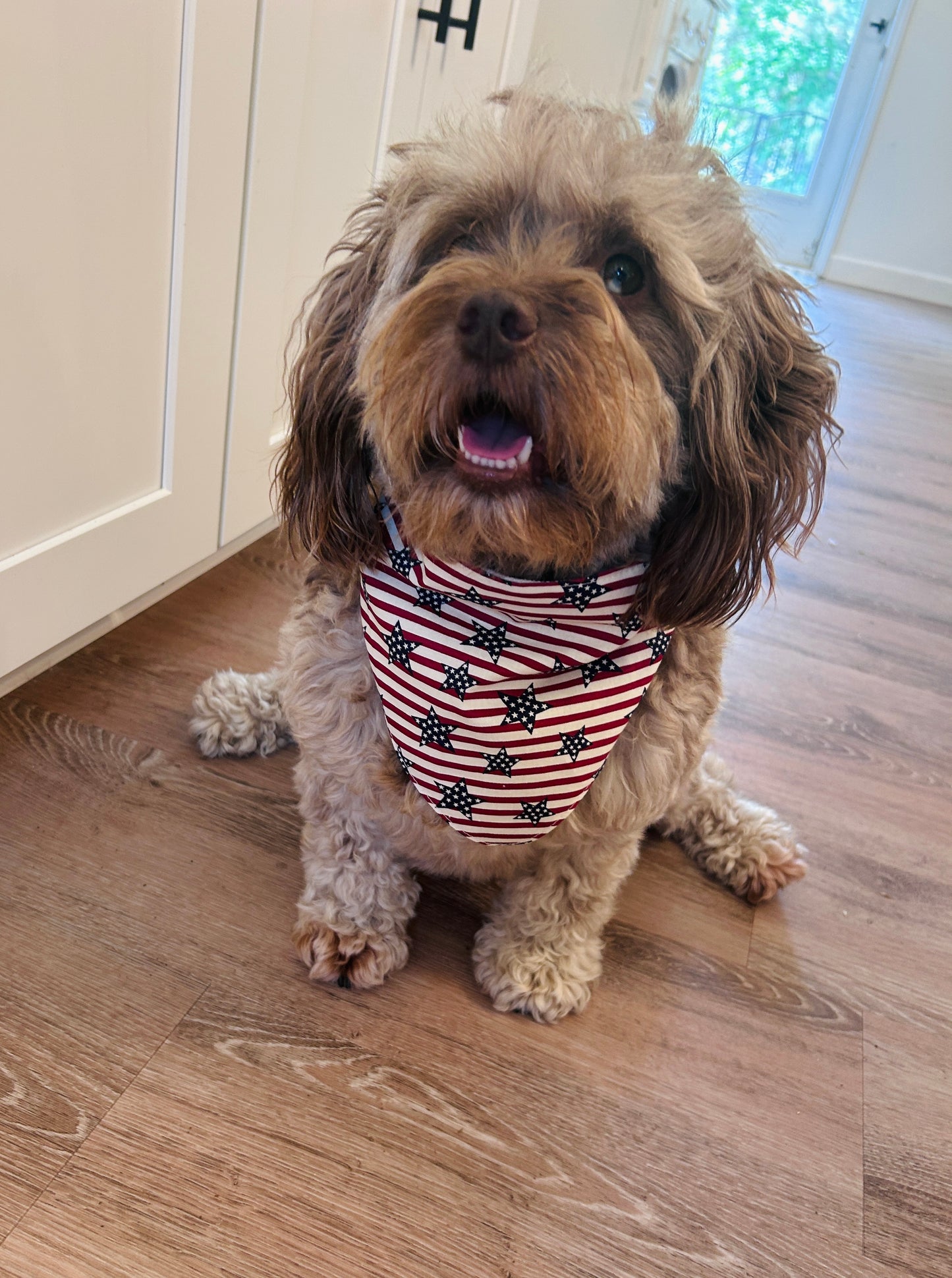4th of July Ready Dog Bandana