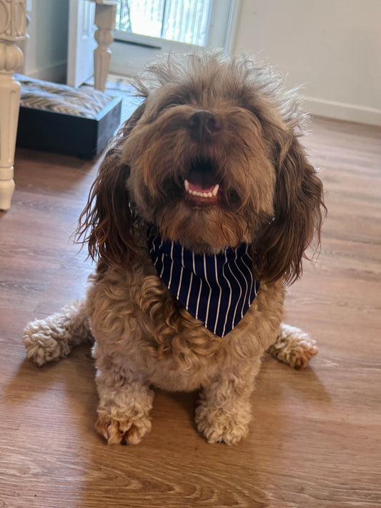 Reversible Dark Blue Stripes & Red Gingham Dog Bandana