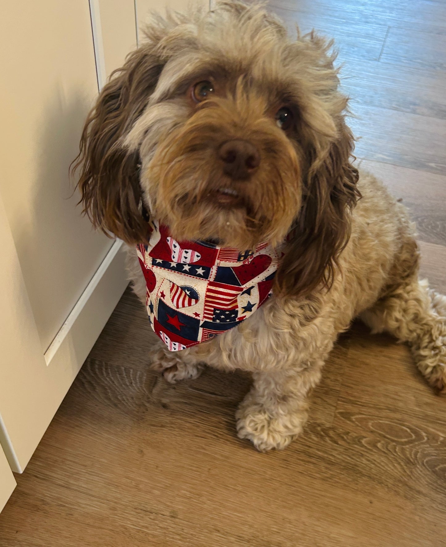Charming Americana Dog Bandana
