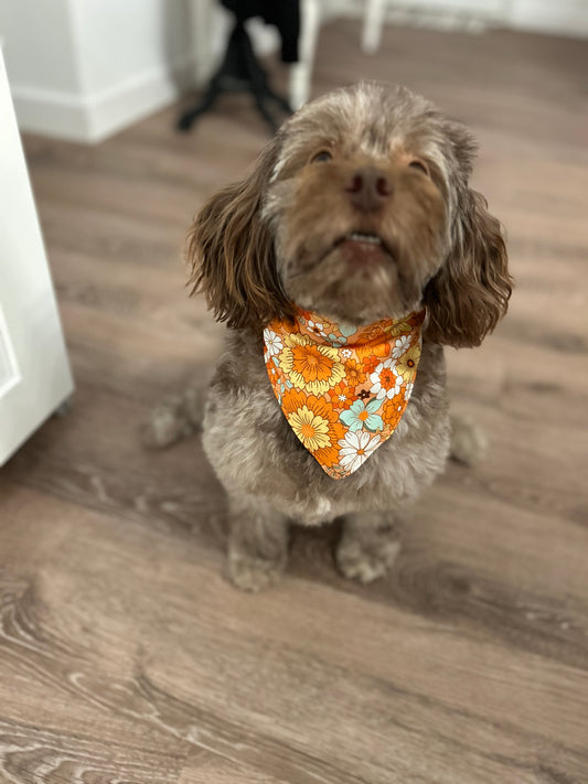 Retro Flower Power Dog Bandana | Reversible Fall Floral Daisy Slip-On Pet Accessory