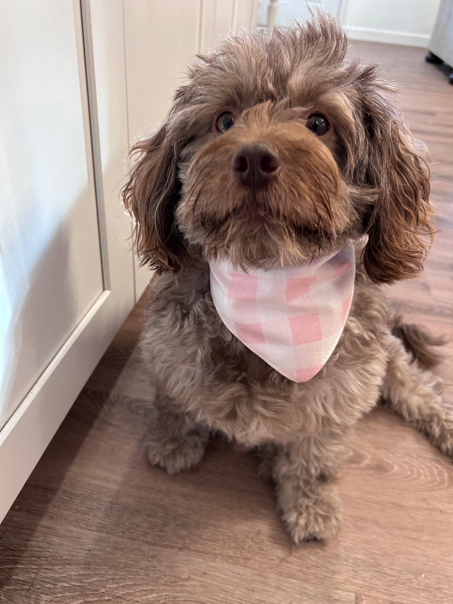 🌸 Sweetheart Scrunchie Dog Bandana - Pink Gingham & Ribbed Knit Reversible