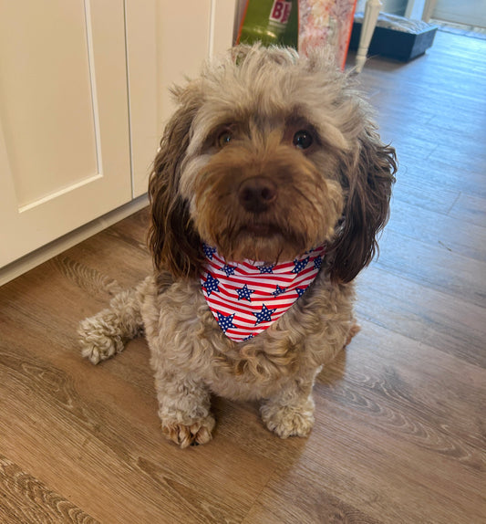 Red Stripes & Blue Stars Dog Bandana