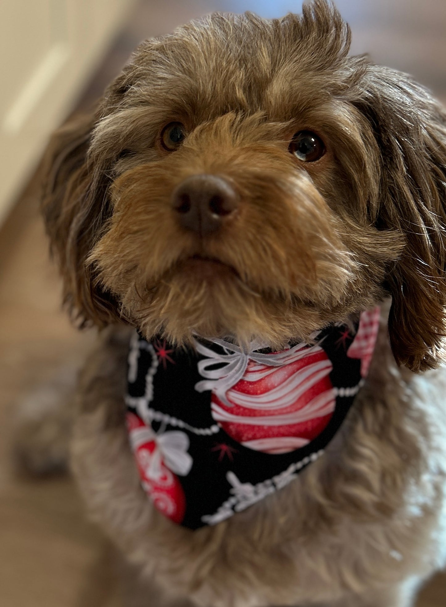 🎄 Dazzling Reversible Scrunchie Dog Bandana - Holiday Ornaments & Solid Red