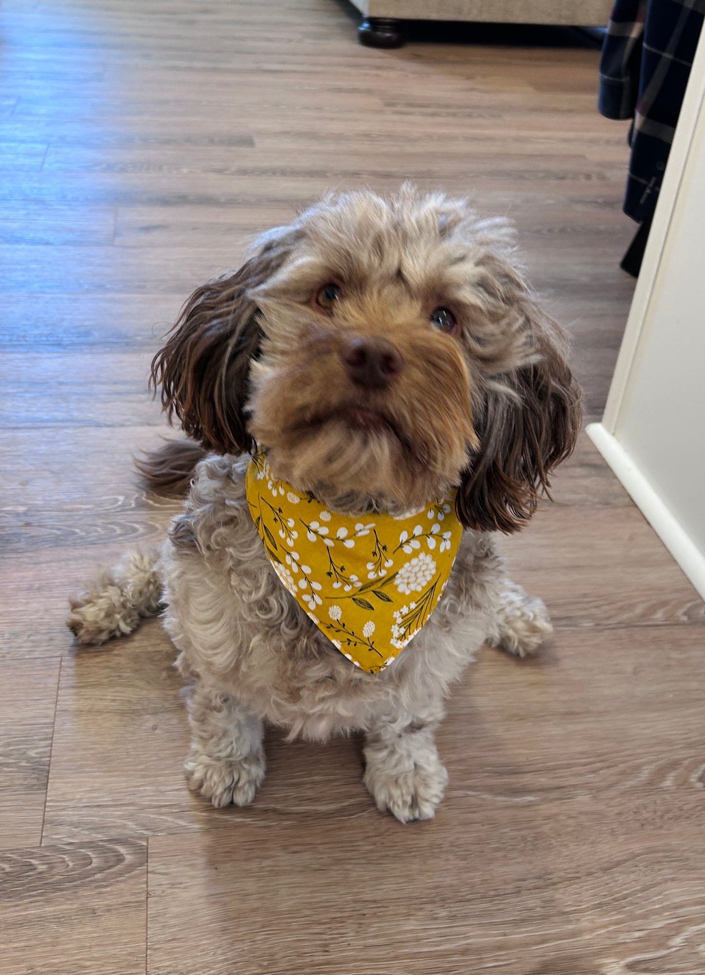 Wildflower & Pale Yellow Slip-On Pet Scrunchie