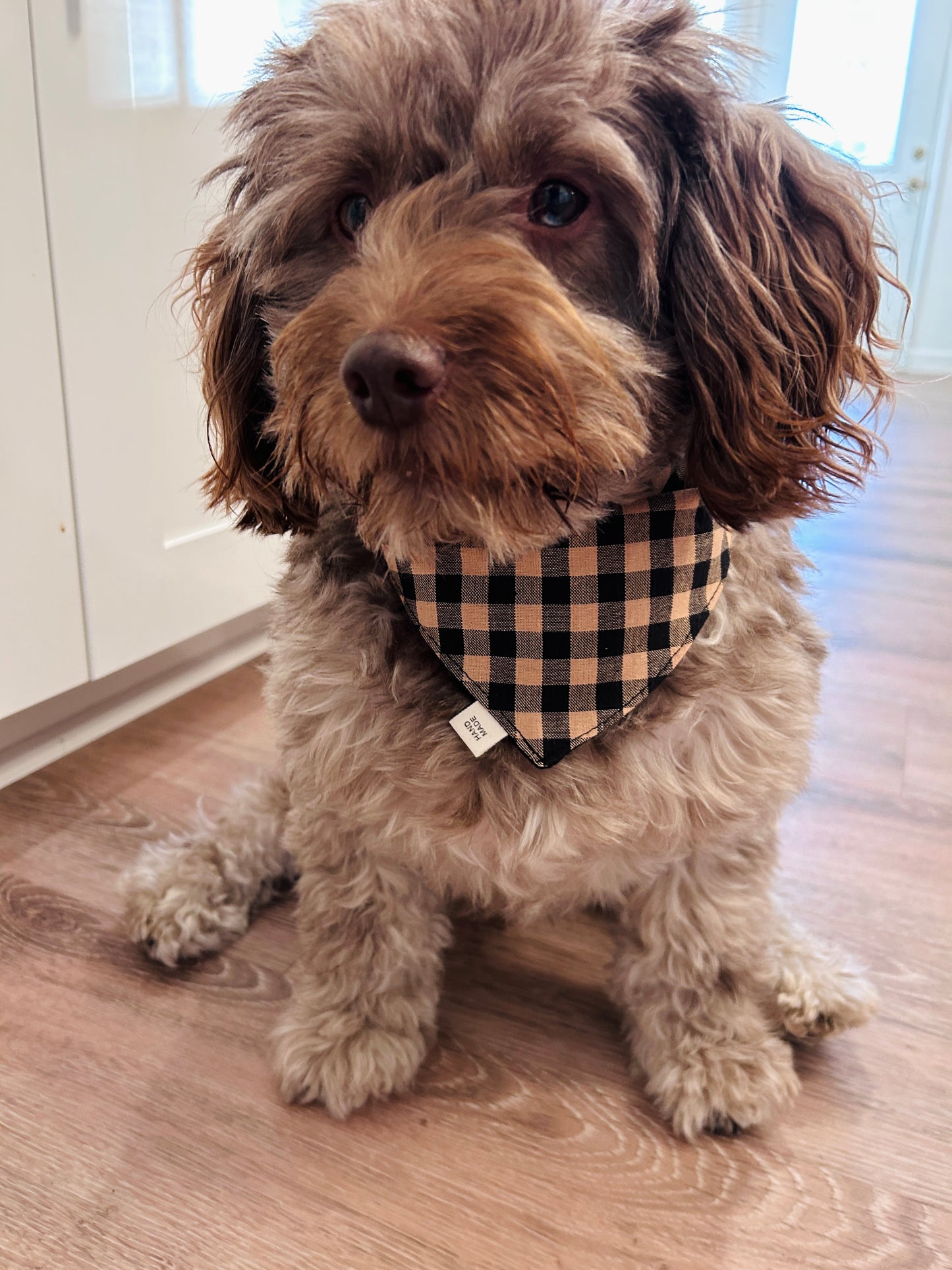 🐾 Cozy & Reversible Scrunchie Dog Bandana - Black & Tan Buffalo Plaid