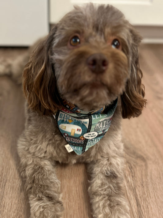 Hit the Road in Style with Our "Road Trip" Scrunchie Dog Bandana!