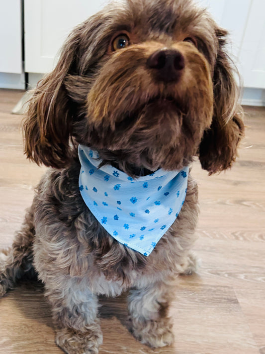 Blue with Small Flowers Dog Bandana – Adjustable, Soft & Stylish