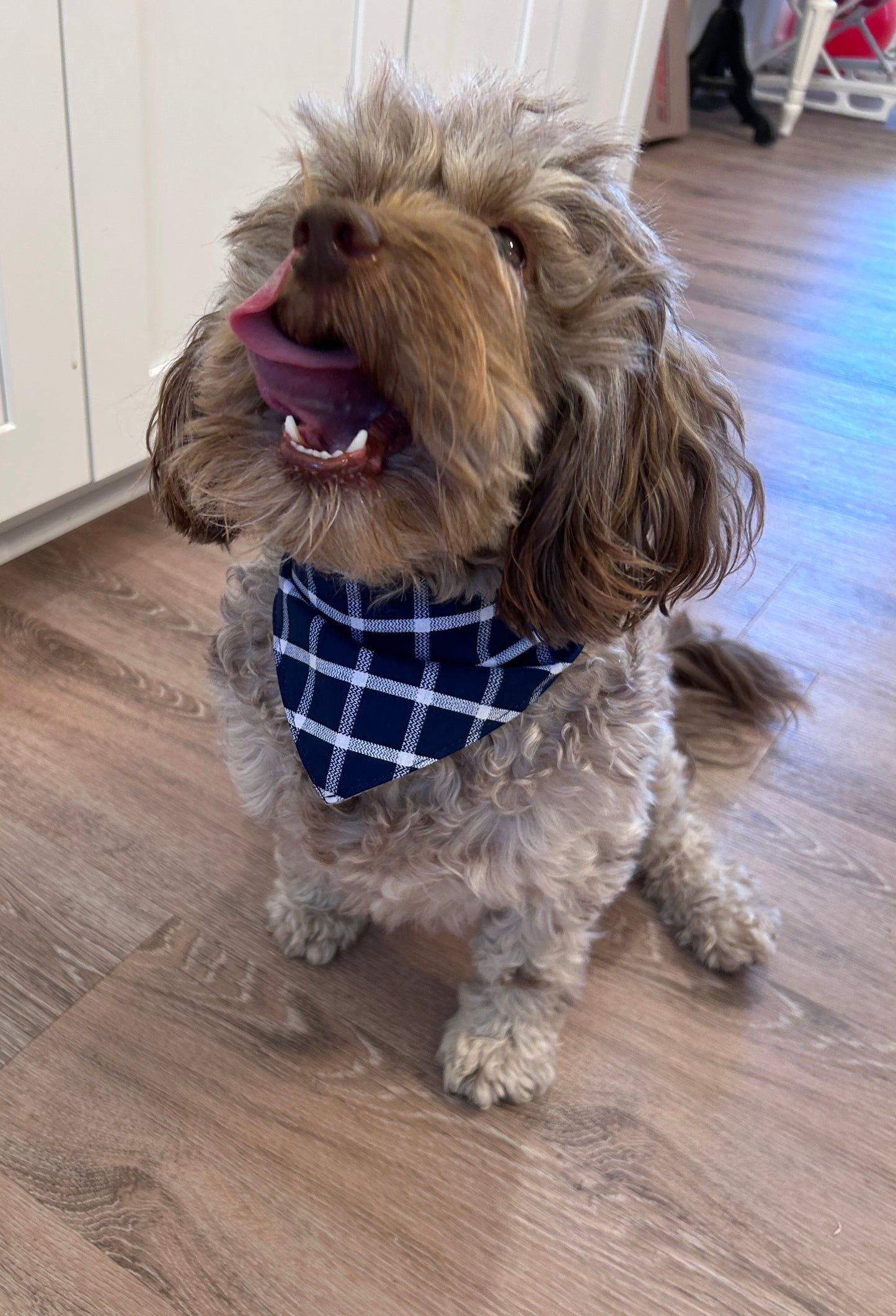 Classic Dark Blue Plaid Pet Apparel
