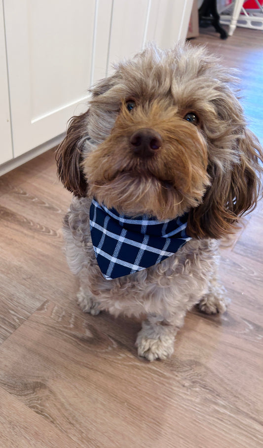 Classic Dark Blue Plaid Pet Apparel