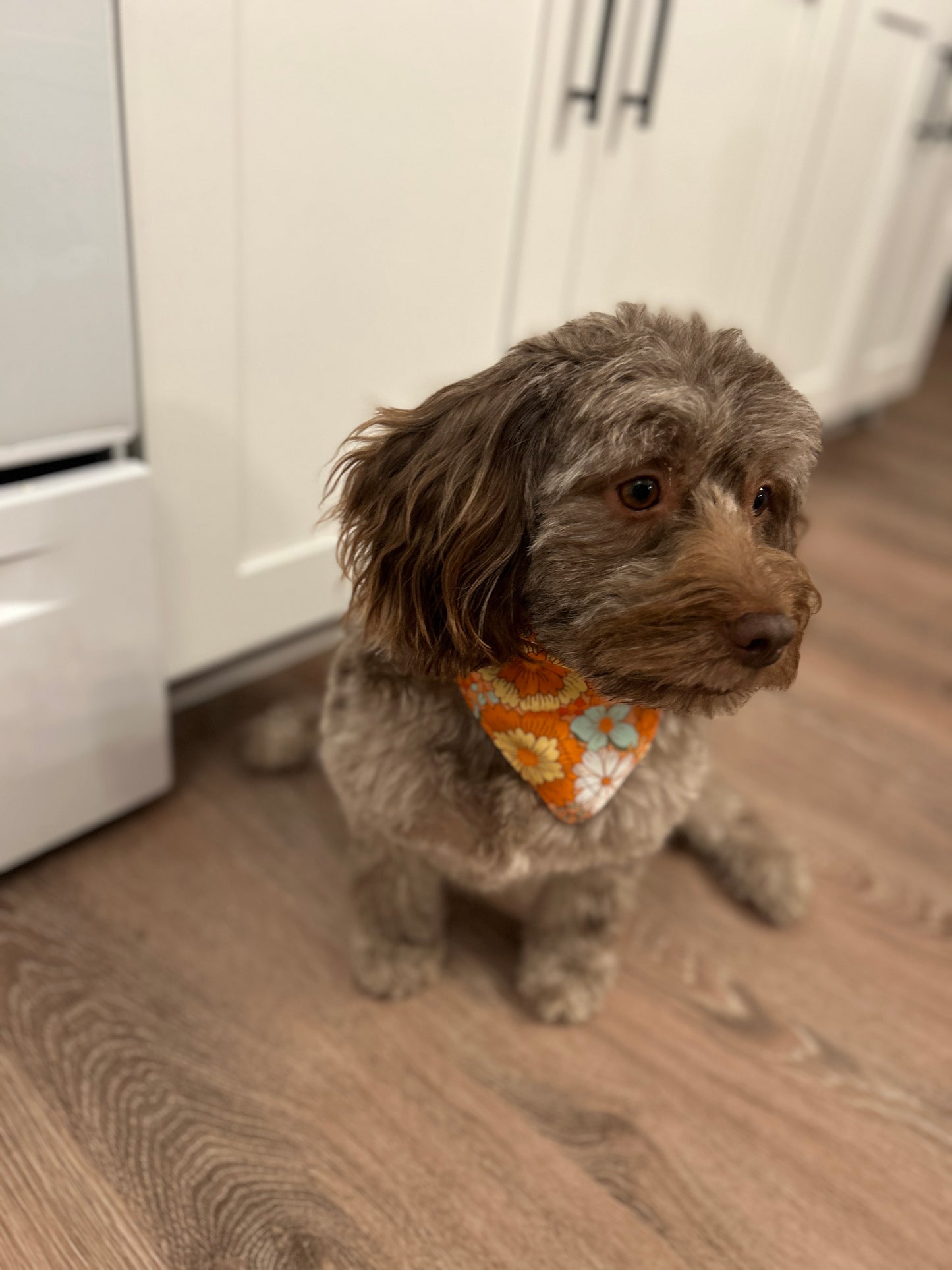 Retro Flower Power Dog Bandana | Reversible Fall Floral Daisy Slip-On Pet Accessory