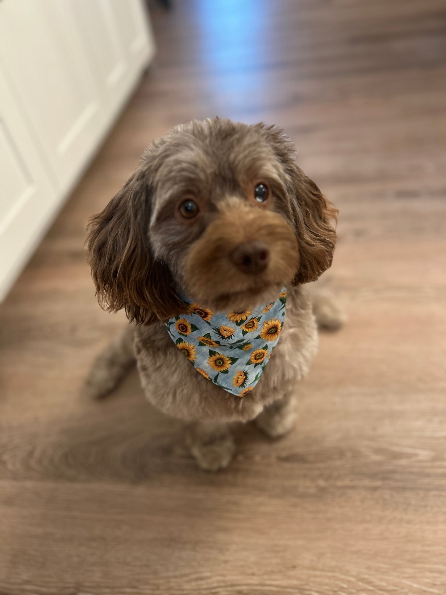 Reversible Scrunchie Style Dog Bandana: Sunflower Field / Pale Yellow