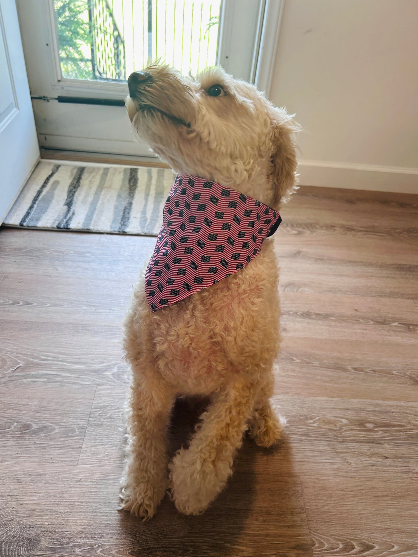 Red, White & Blue Dog Bandana