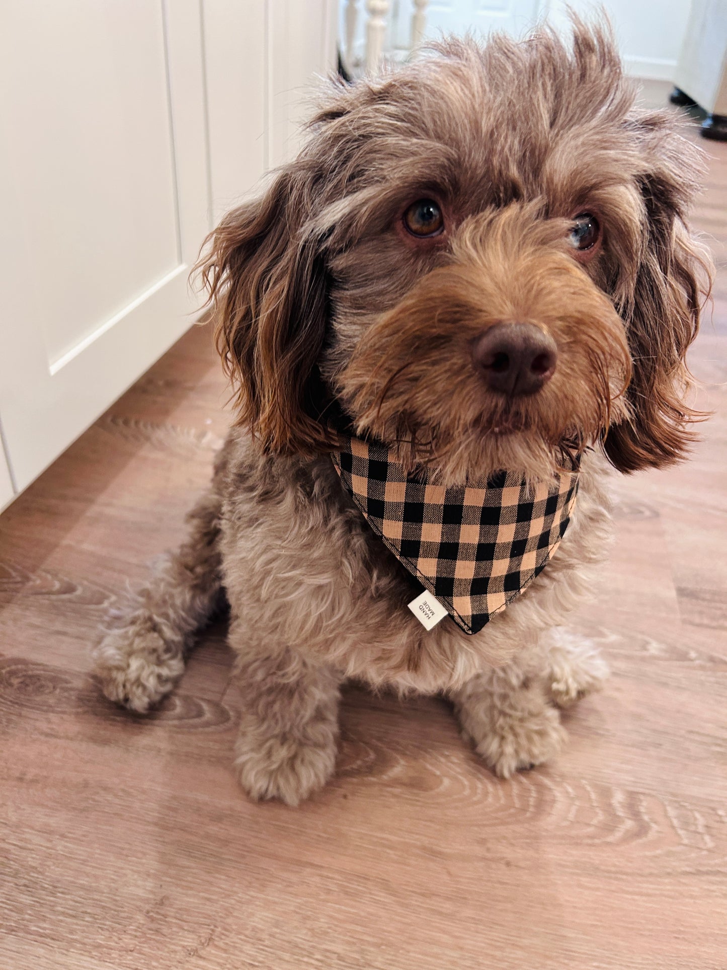 🐾 Cozy & Reversible Scrunchie Dog Bandana - Black & Tan Buffalo Plaid