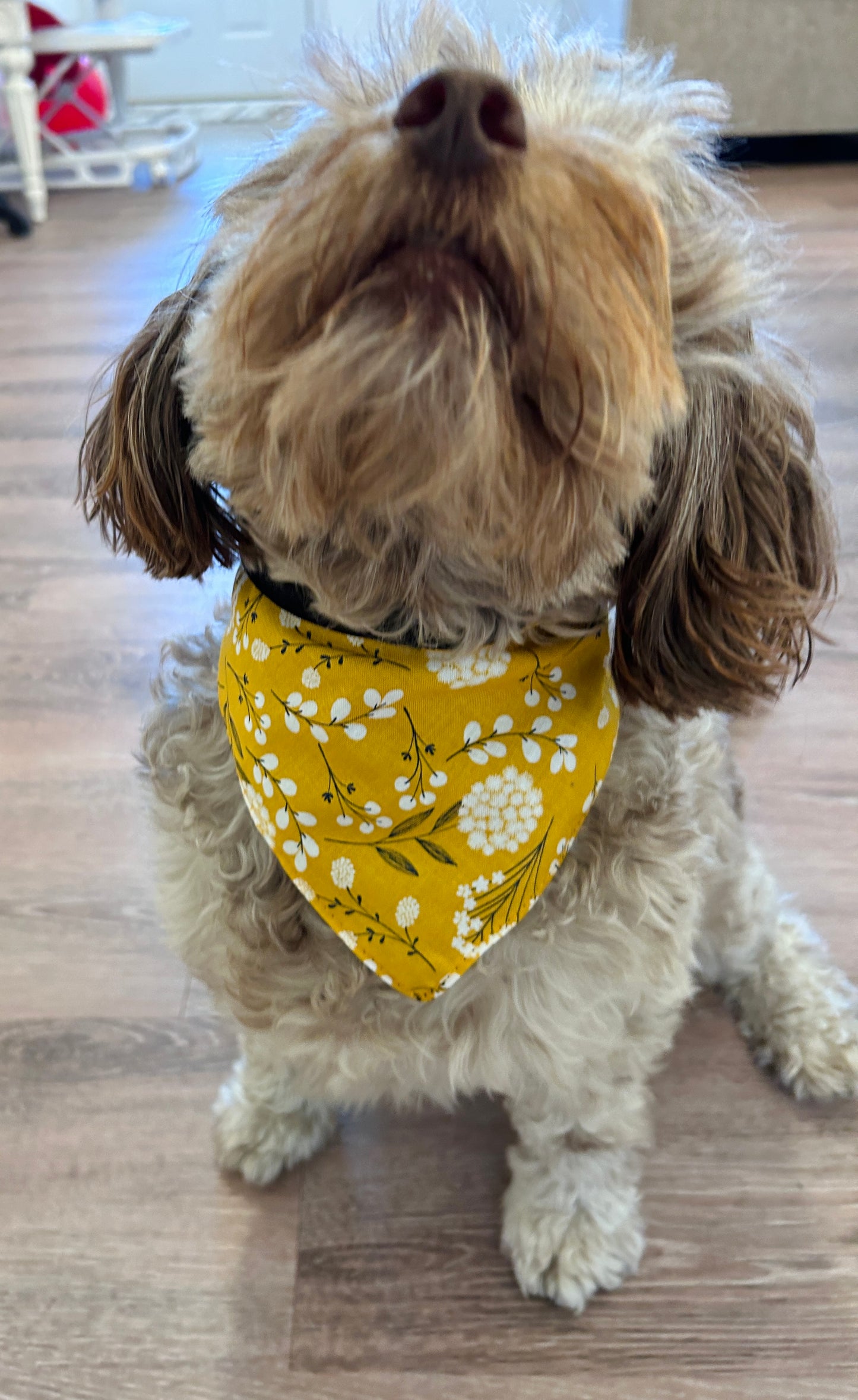 Wildflower & Pale Yellow Slip-On Pet Scrunchie