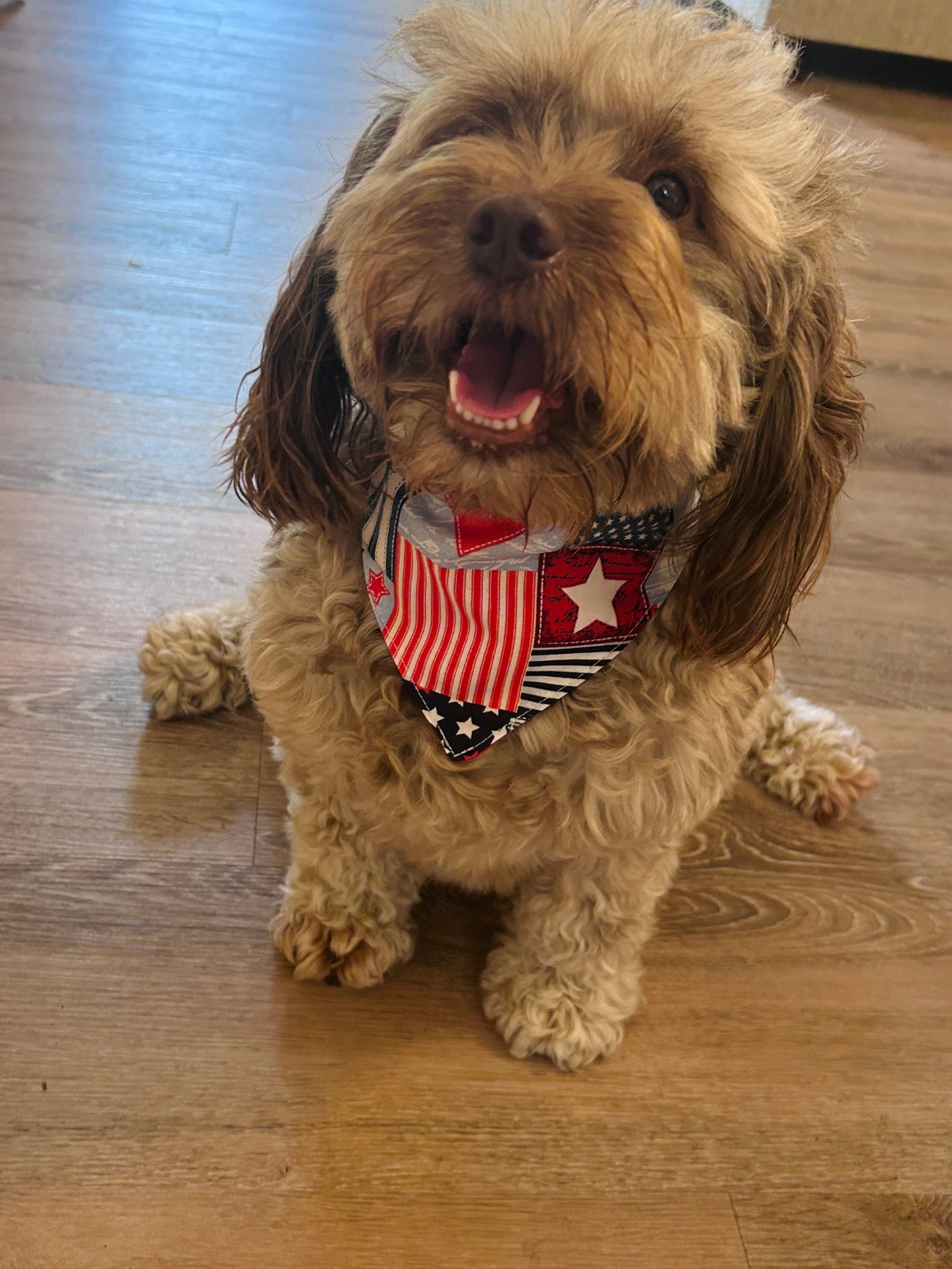 Americana Dog Bandana