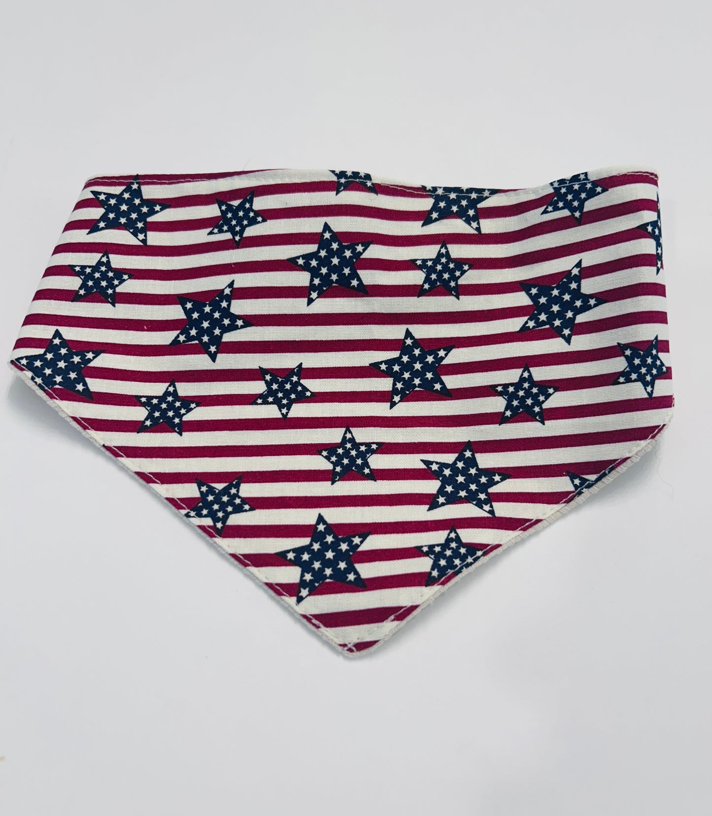 4th of July Ready Dog Bandana