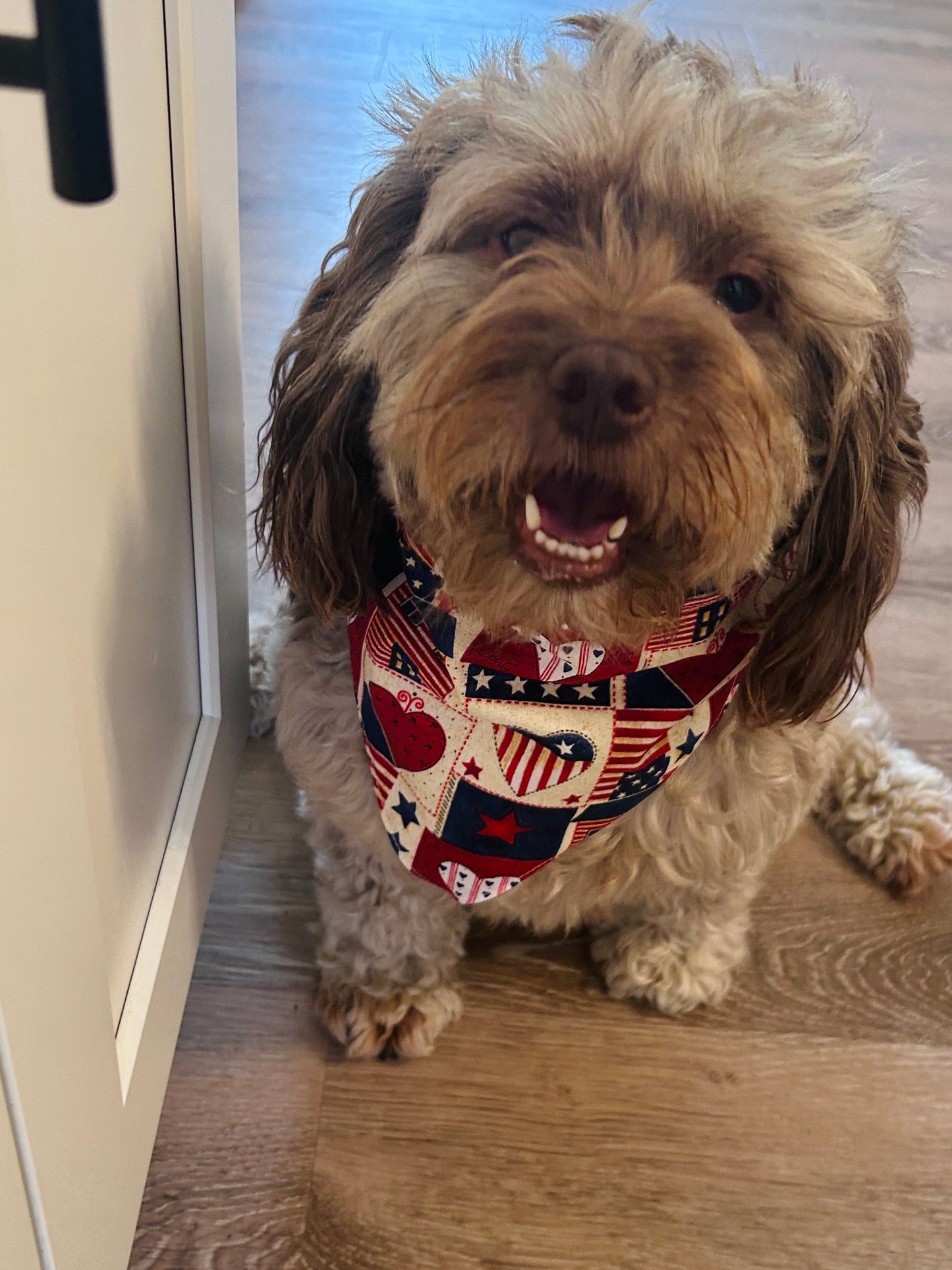 Charming Americana Dog Bandana