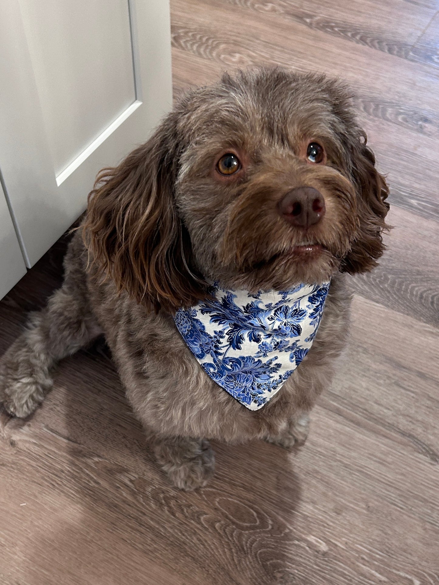 Classic Blue Toile Dog Bandana | Reversible Navy Floral Slip-On Pet Bandana French Country Accessory