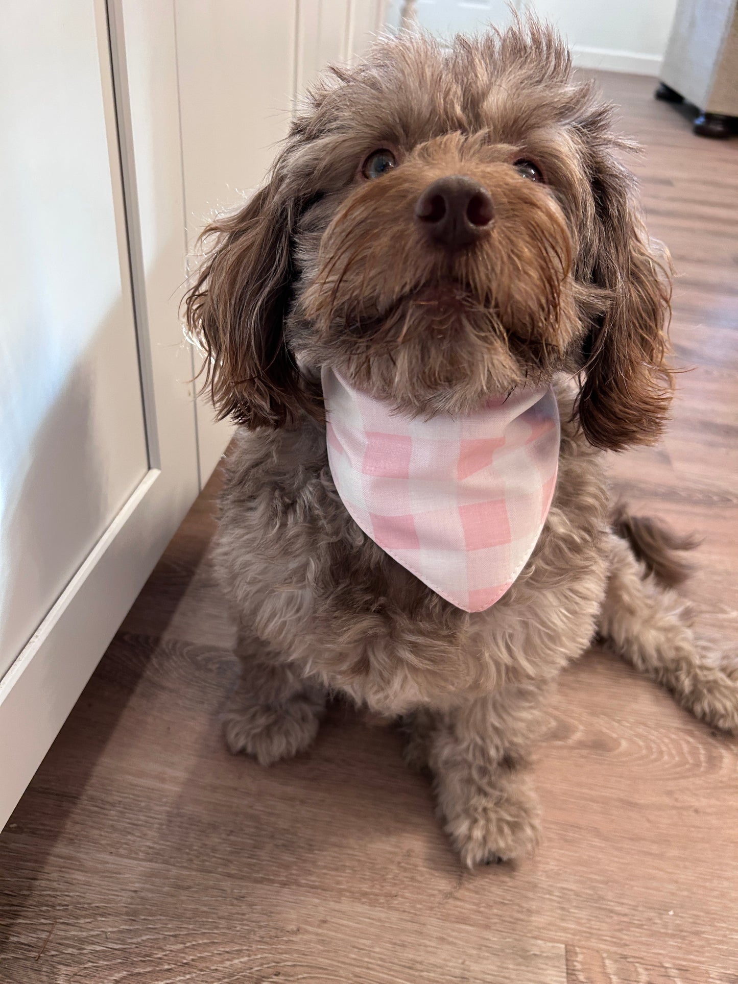 🌸 Sweetheart Scrunchie Dog Bandana - Pink Gingham & Ribbed Knit Reversible