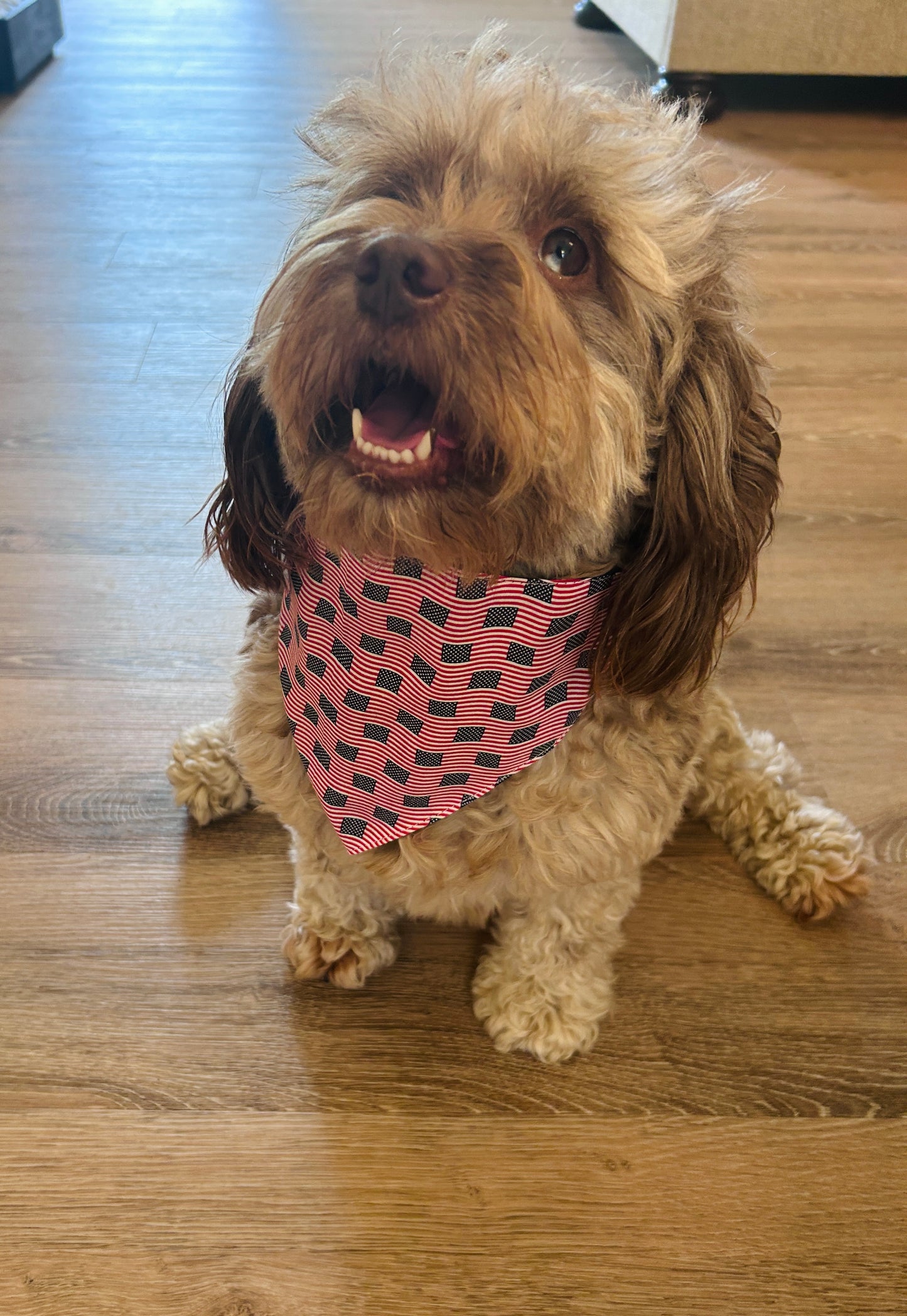 Red, White & Blue Dog Bandana