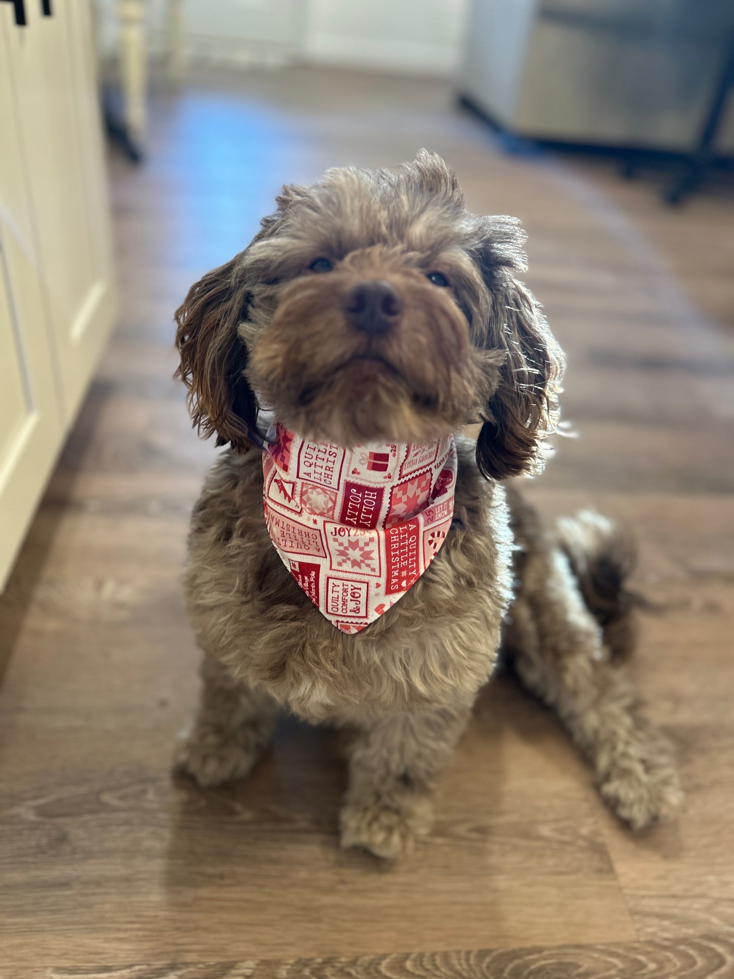 Holly Jolly Scrunchie Dog Bandana - Christmas Stamps & Red Ribbed Reversible