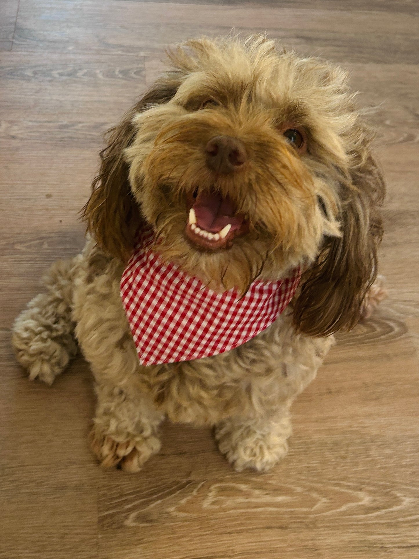 Reversible Dark Blue Stripes & Red Gingham Dog Bandana