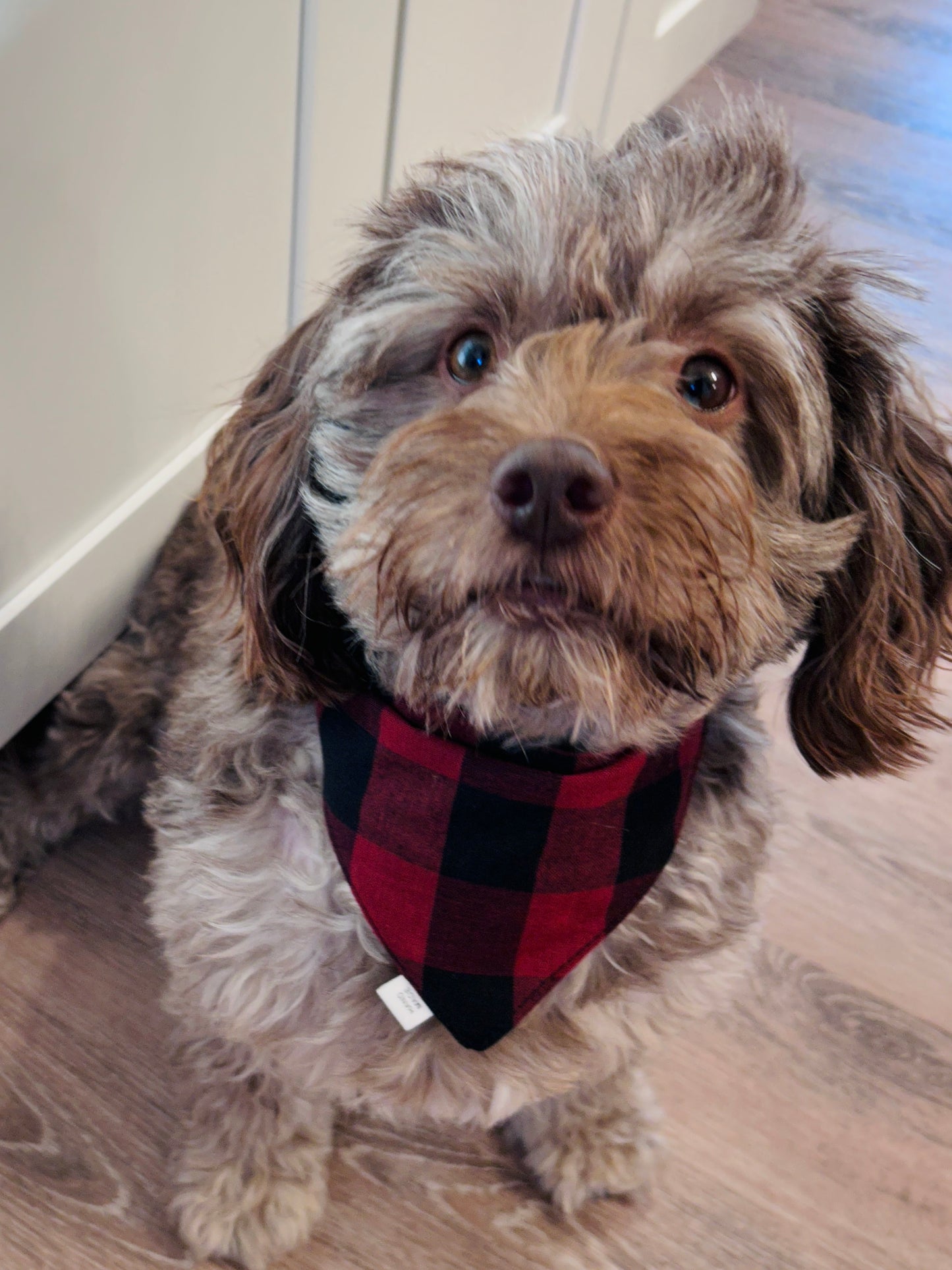 ❤️ Reversible Scrunchie Dog Bandana - Classic Dark Red & Black Buffalo Plaid