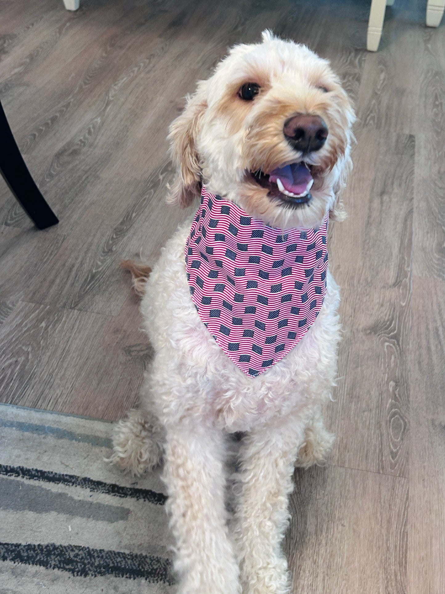 Red, White & Blue Dog Bandana