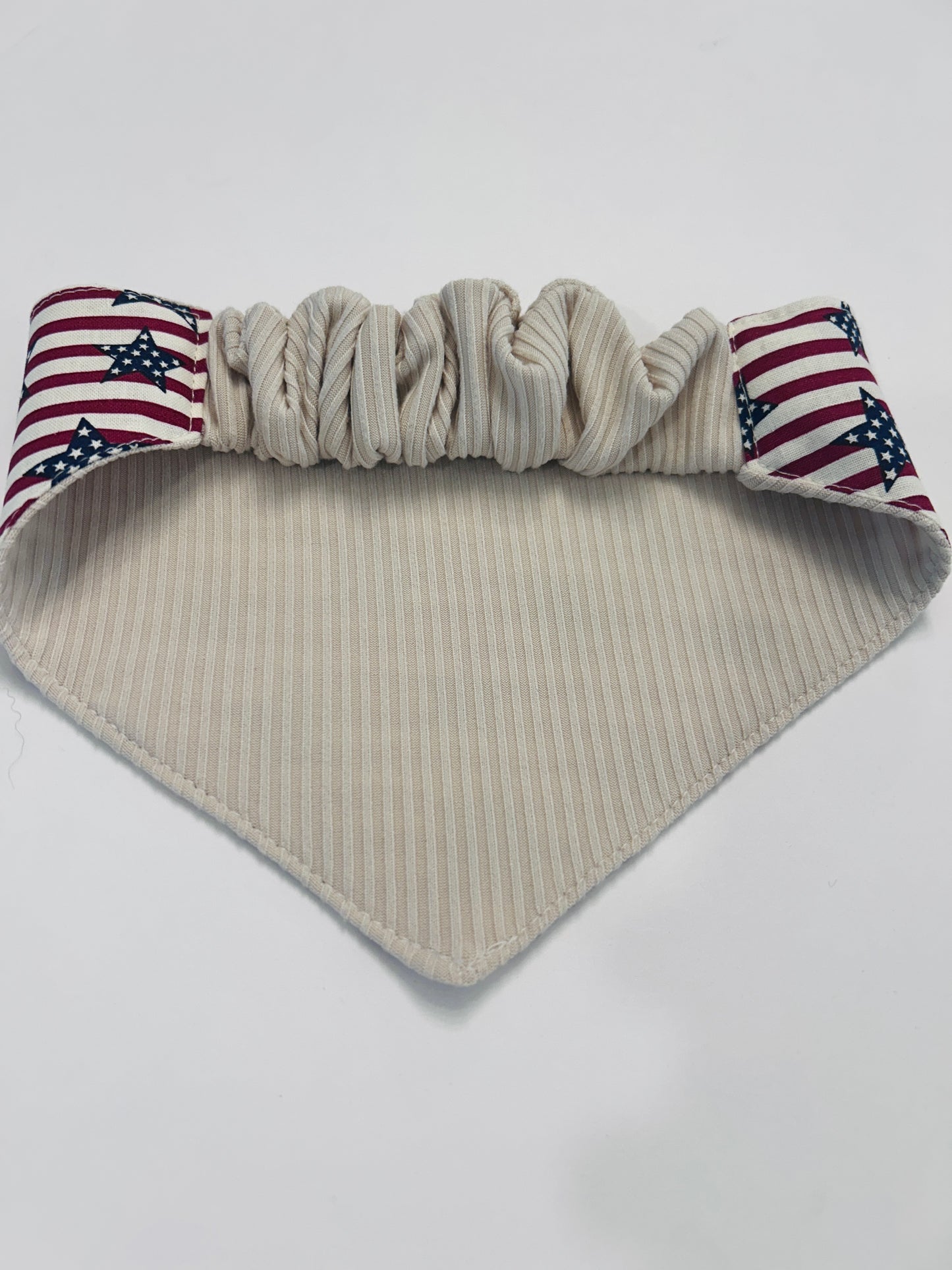 4th of July Ready Dog Bandana