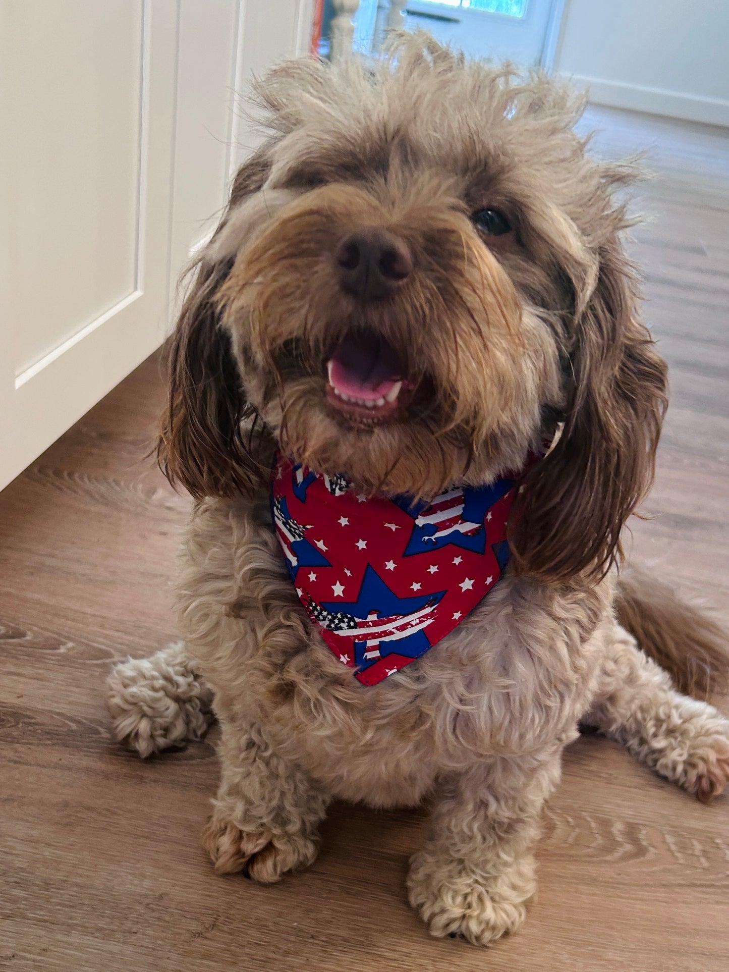 Red, White & Blue Stars Dog Bandana