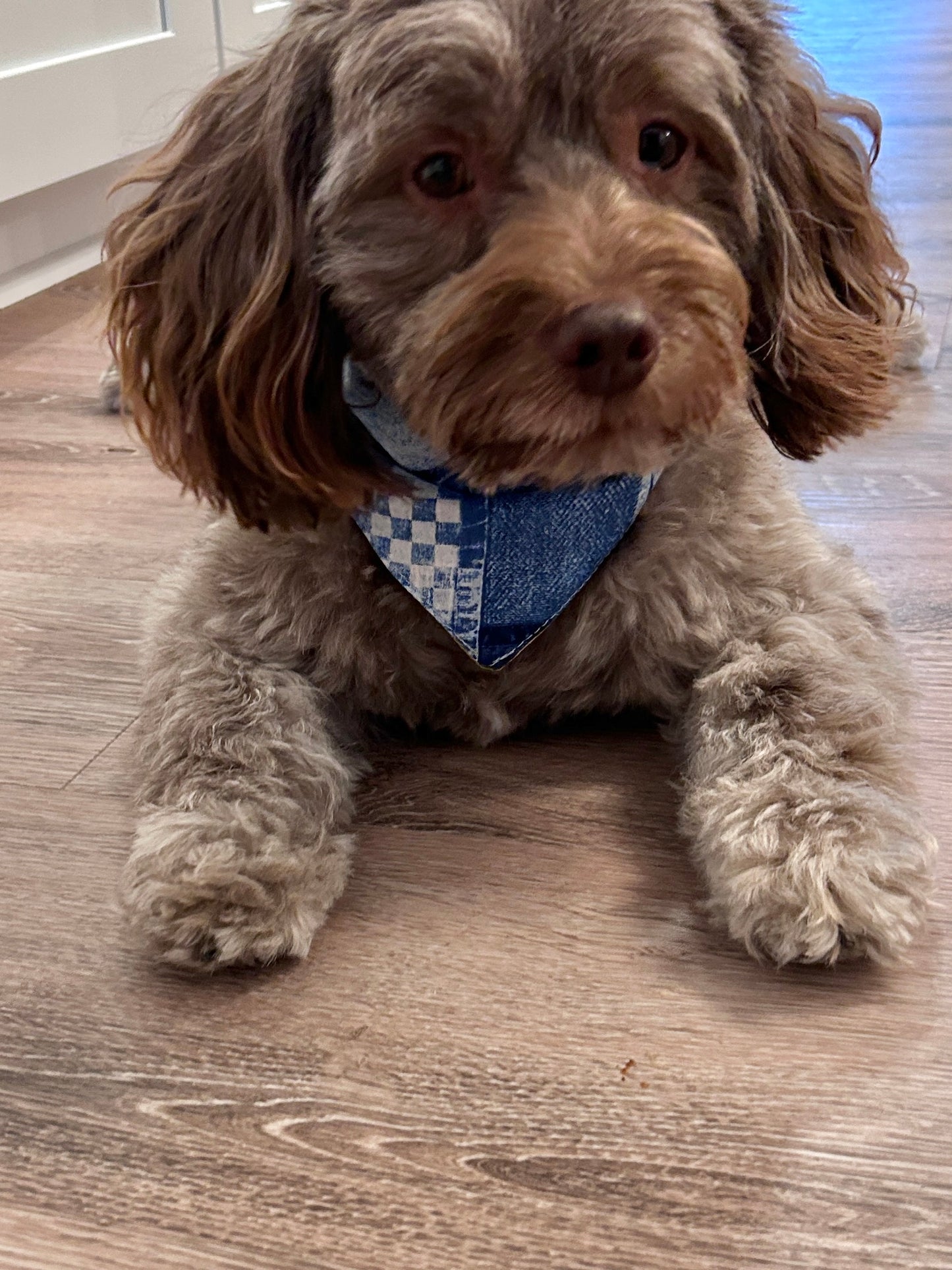 Patchwork Daisy & Denim Dog Scrunchy Bandana