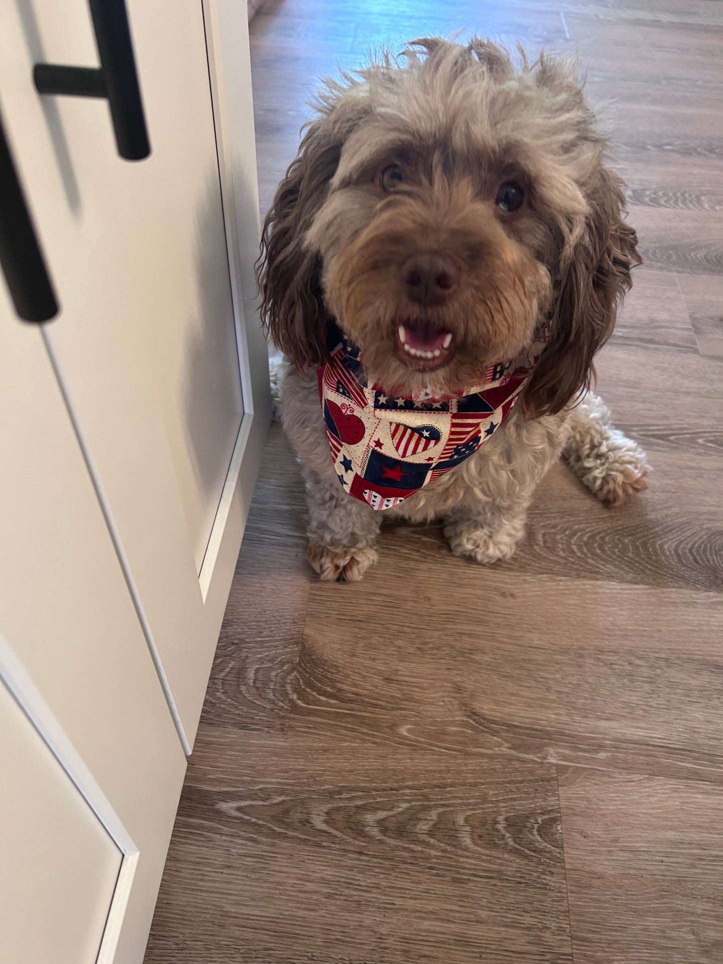 Charming Americana Dog Bandana