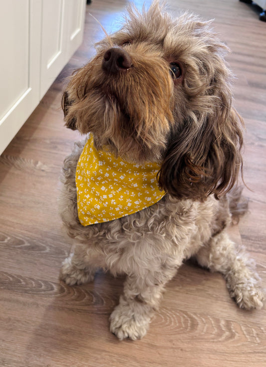 Pale Yellow Floral Slip-On Pet Scrunchie