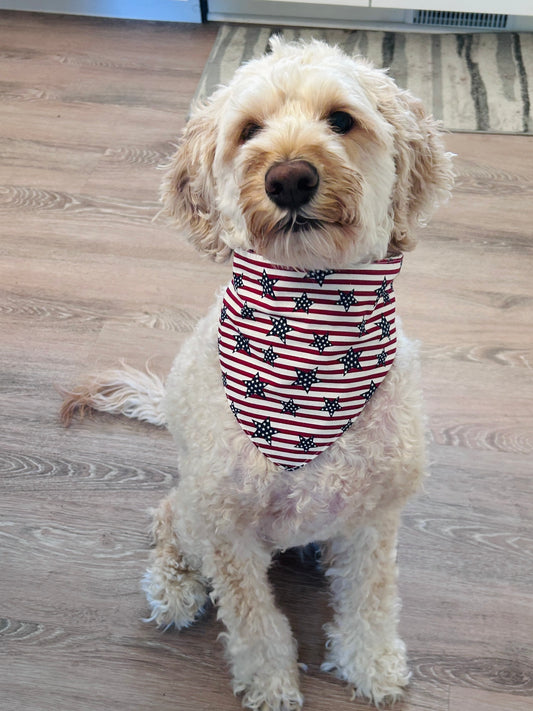 4th of July Ready Dog Bandana