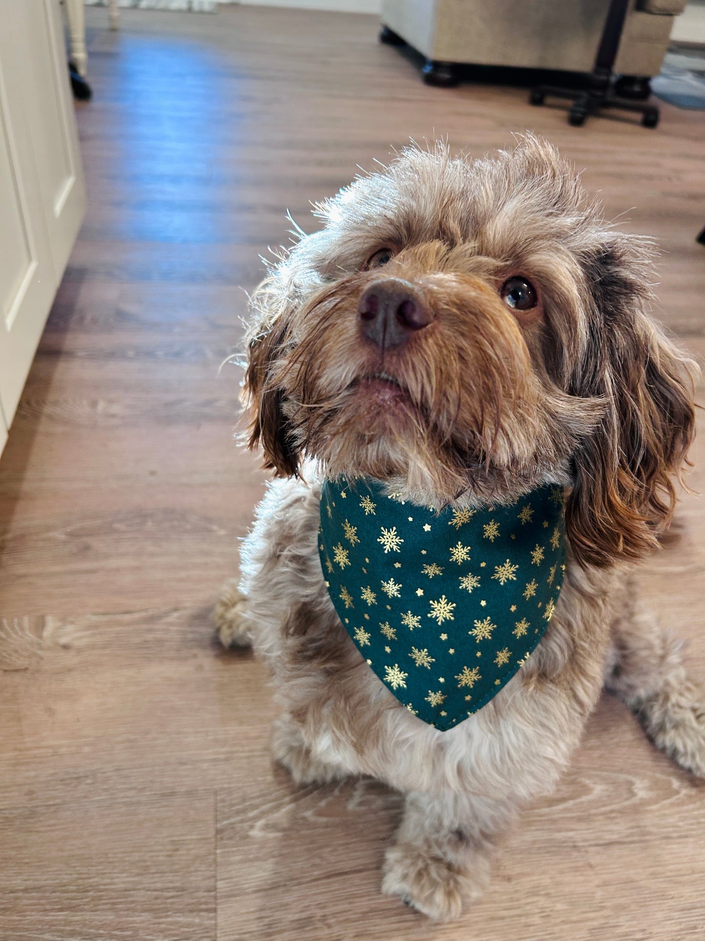 ❄️ Festive Reversible Scrunchie Dog Bandana - Emerald & Gold Snowflake