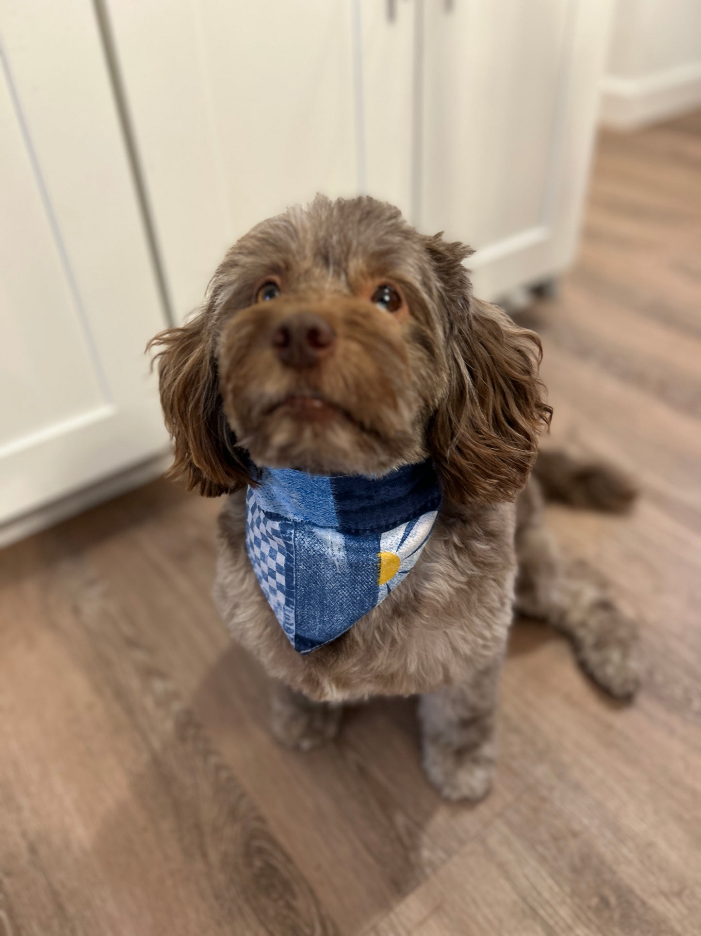 Patchwork Daisy & Denim Dog Scrunchy Bandana