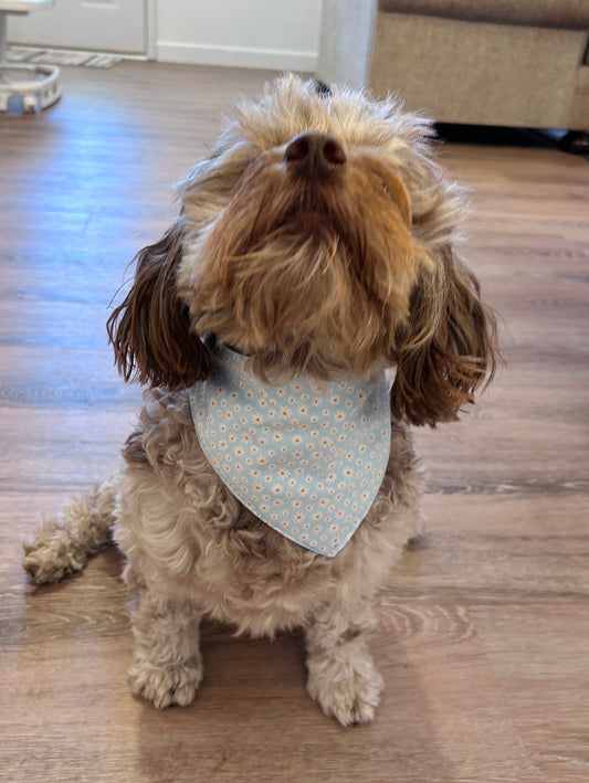 Light Blue Slip-On Pet Scrunchie