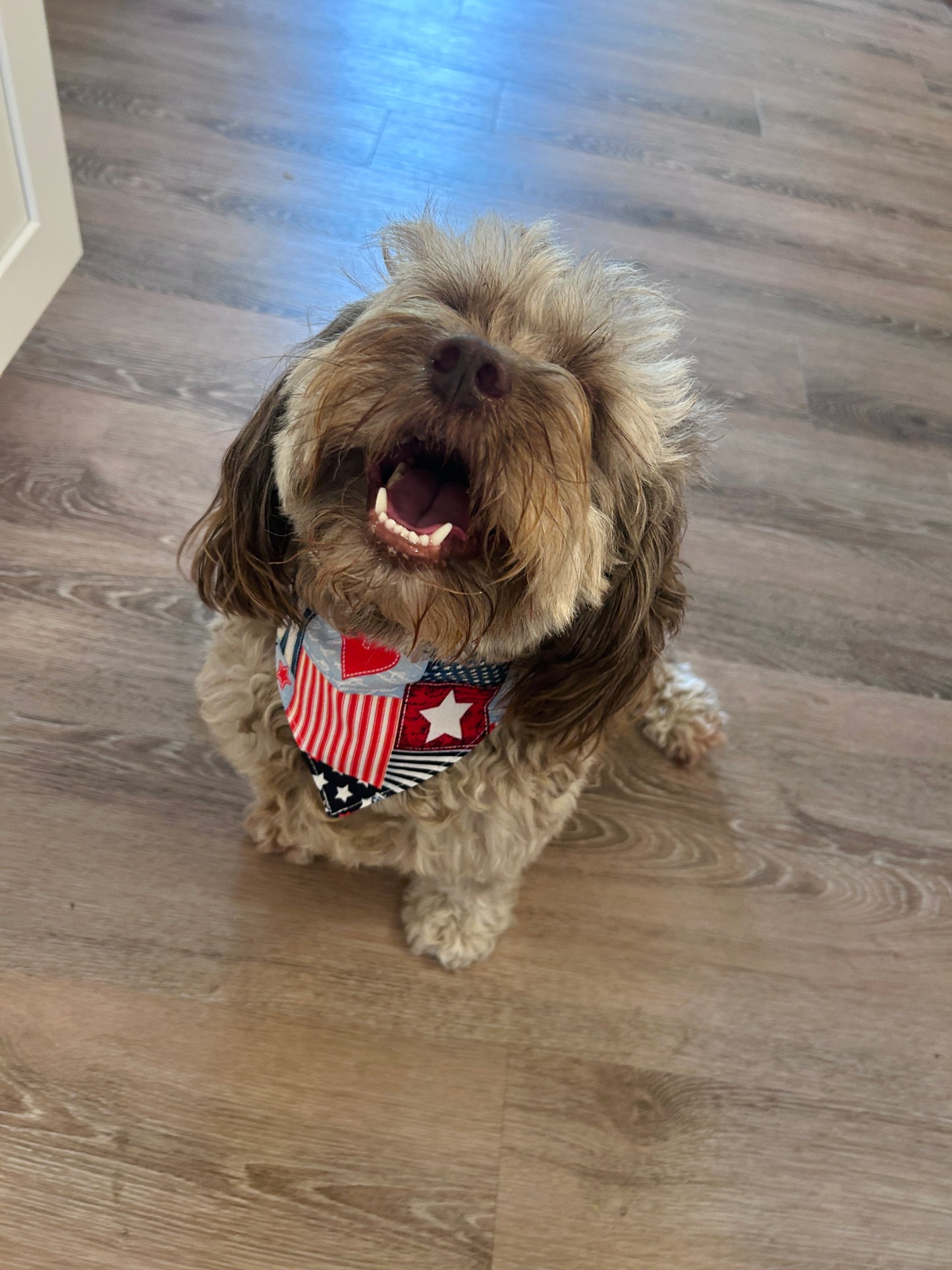 Americana Dog Bandana