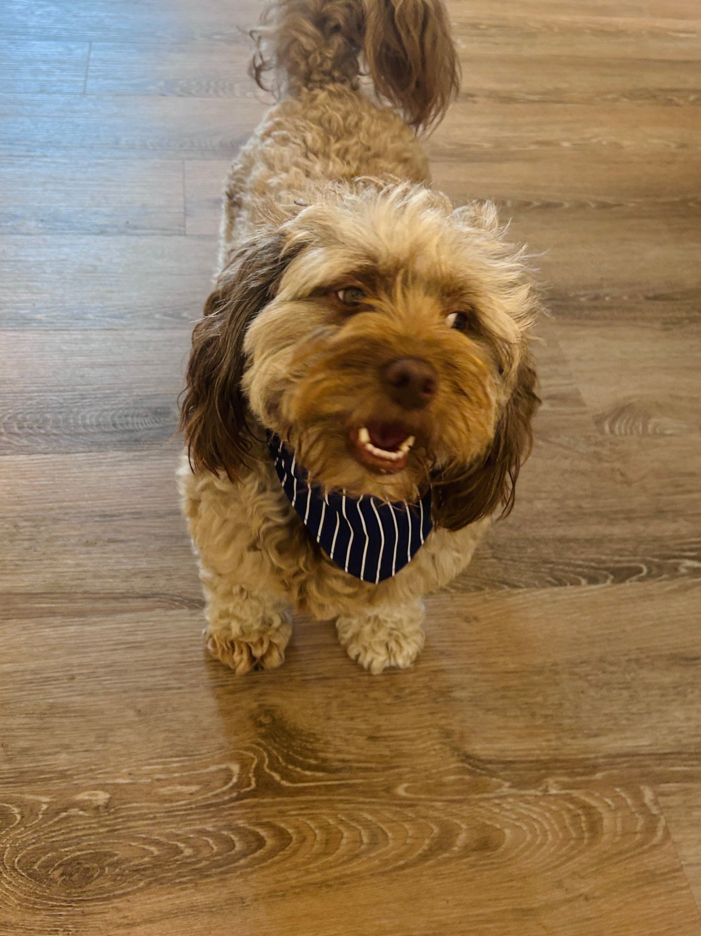 Reversible Dark Blue Stripes & Red Gingham Dog Bandana