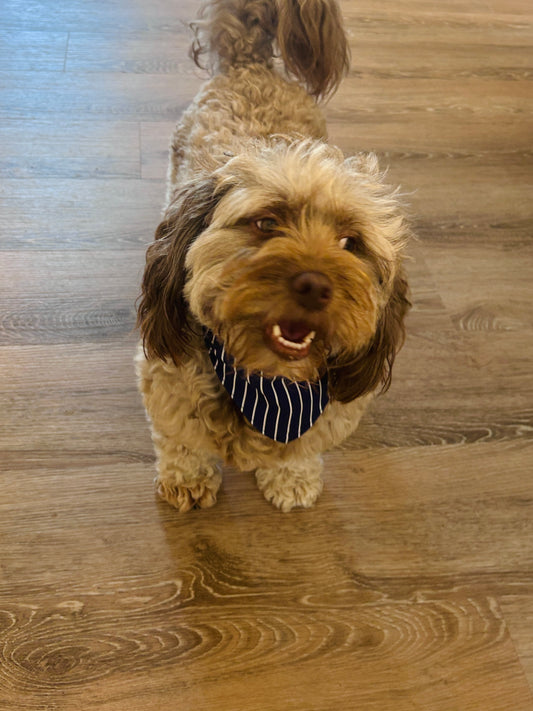 Reversible Dark Blue Stripes & Red Gingham Dog Bandana