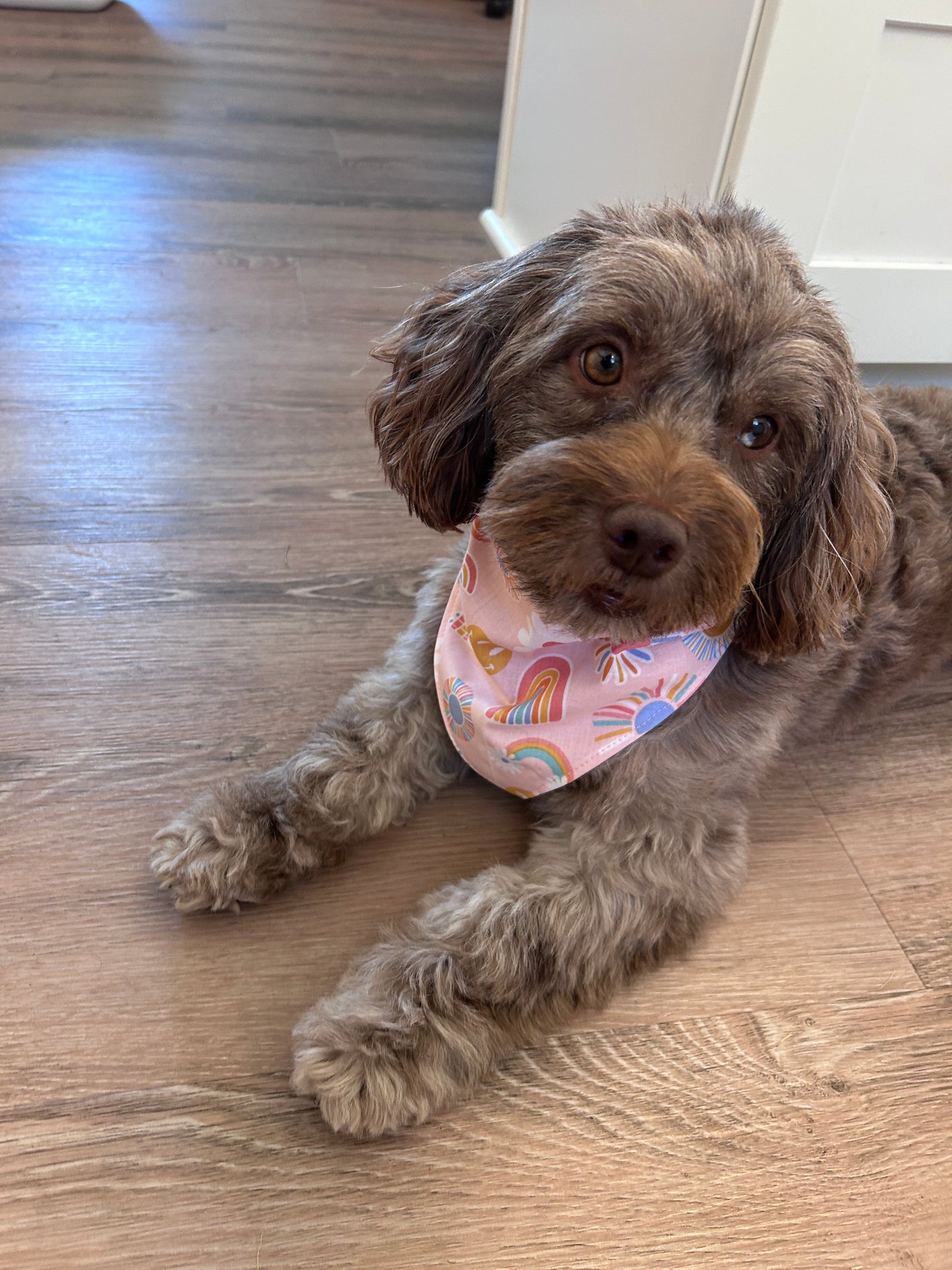 ✨ Reversible Scrunchy Dog Bandana – Smiley Rainbows & Solid Pink ✨